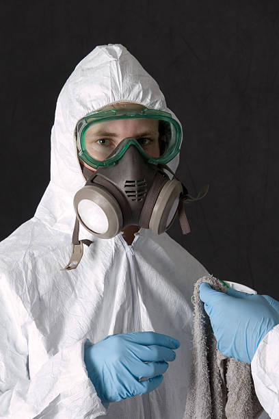 Reliable Plandome, NY Mold Removal Solutions
